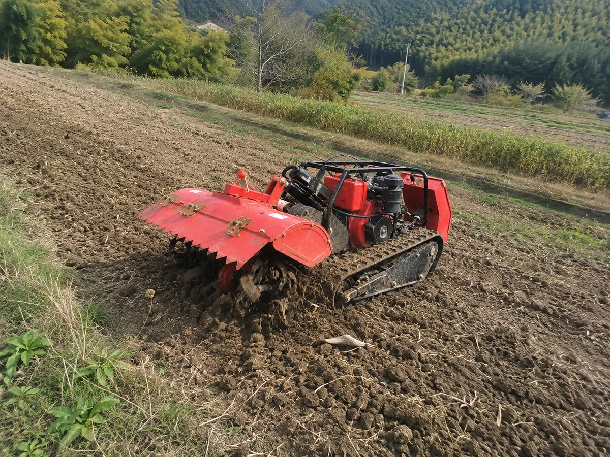 Orchard Row Soil Cultivation
